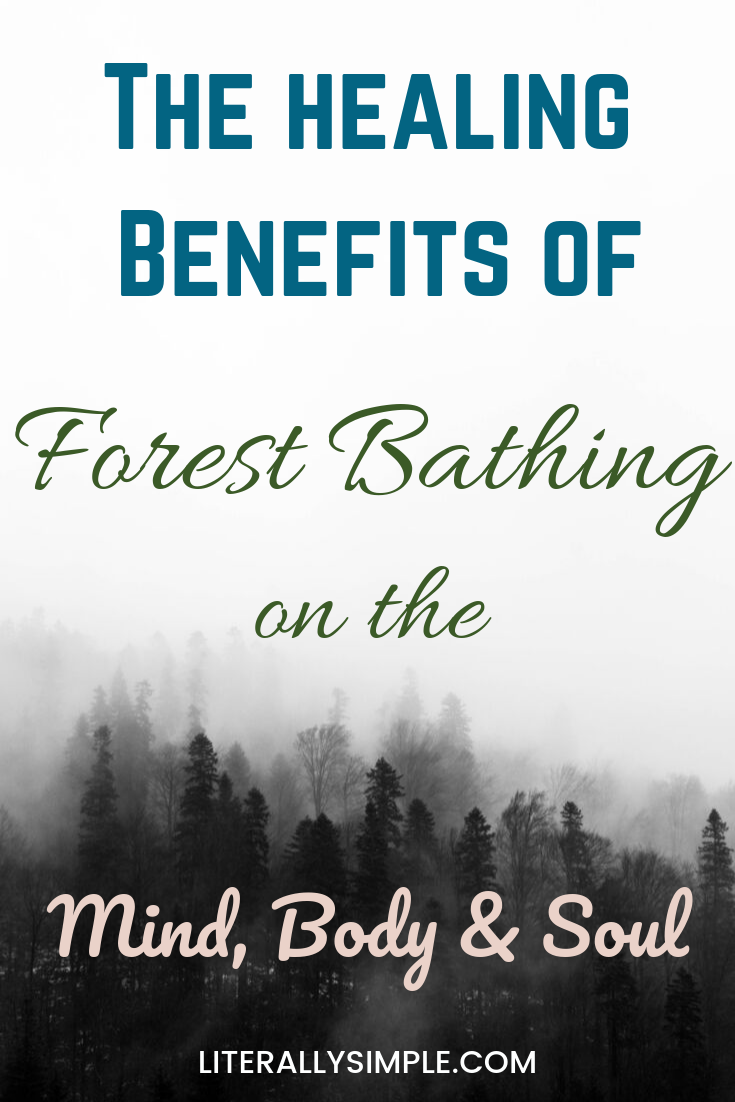 The Healing Powers Of Forest Bathing Literally Simple The Healing Powers Of Forest Bathing Literally Simple