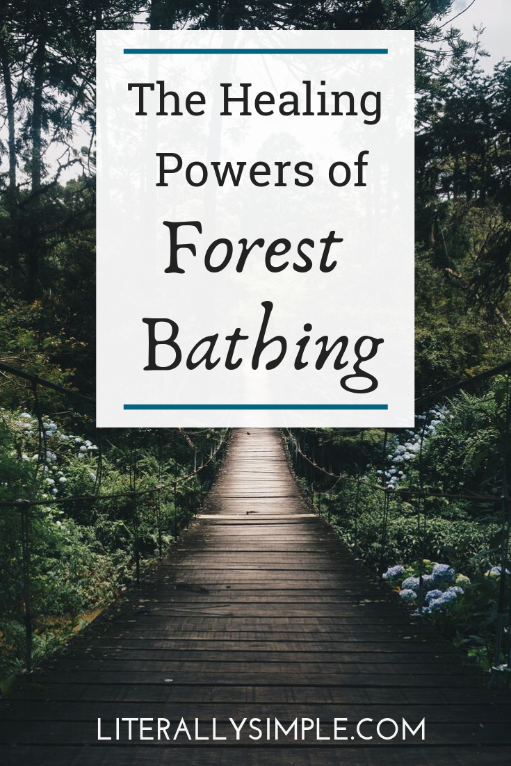 The Healing Powers Of Forest Bathing - Literally Simple